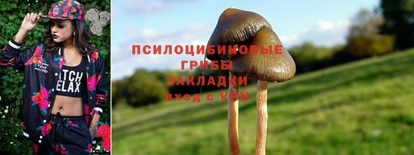 прущая мука Богданович