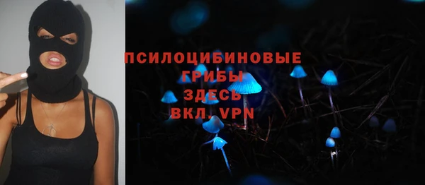 MDMA Premium VHQ Белокуриха