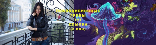 а пвп мука Богородицк