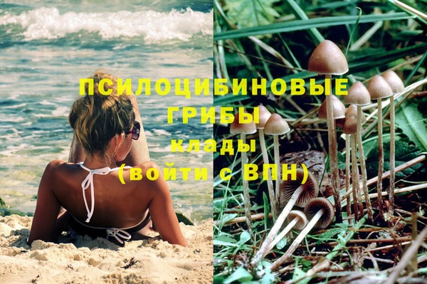 MDMA Premium VHQ Белокуриха
